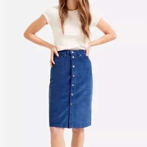 Everlane corduroy skirt size US 8/Euro 28 - in perfect condition